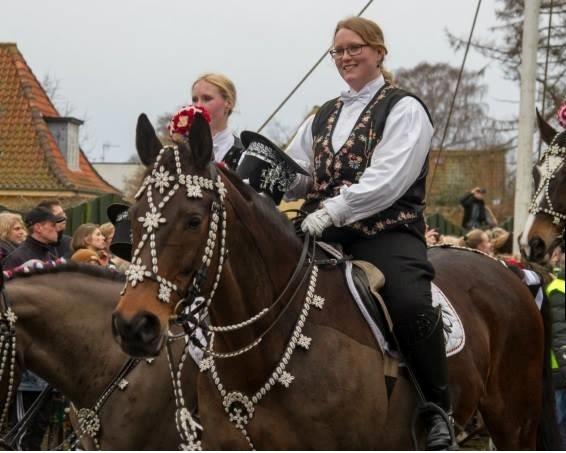 Dansk Varmblod Kløvermarkens Romanette billede 11