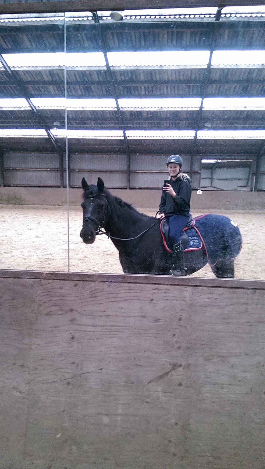 Anden særlig race Kashmir billede 6