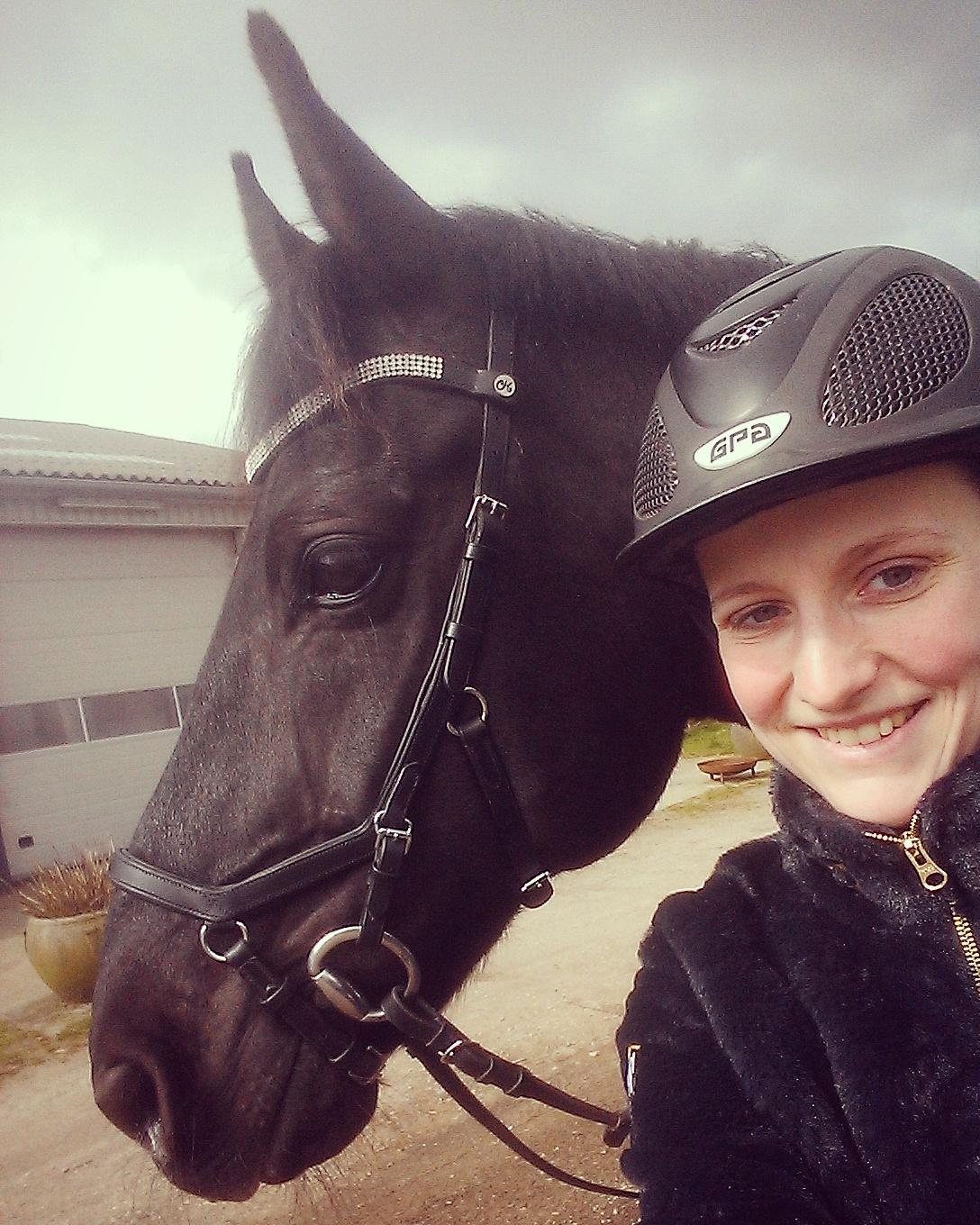 Anden særlig race Kashmir billede 15