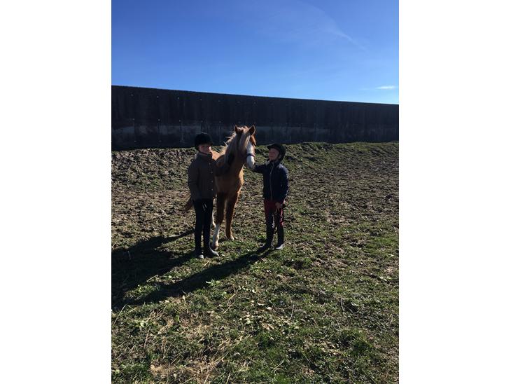 {{currentPhoto.altText}} billede {{currentPhoto.number}}