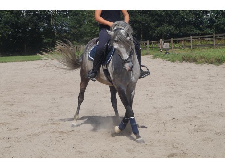 {{currentPhoto.altText}} billede {{currentPhoto.number}}