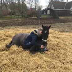 DSP Rotterdam's Dream Dancer