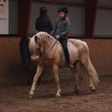 Anden særlig race I Turbo