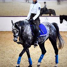 DSP Søgaards Magic Moon