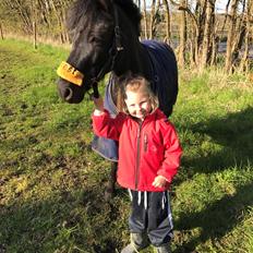 Anden særlig race Felix