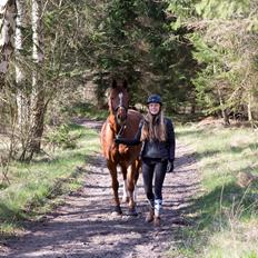 Anden særlig race Sonny Boy
