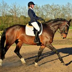 Oldenborg Nobel star