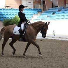 Anden særlig race Armani