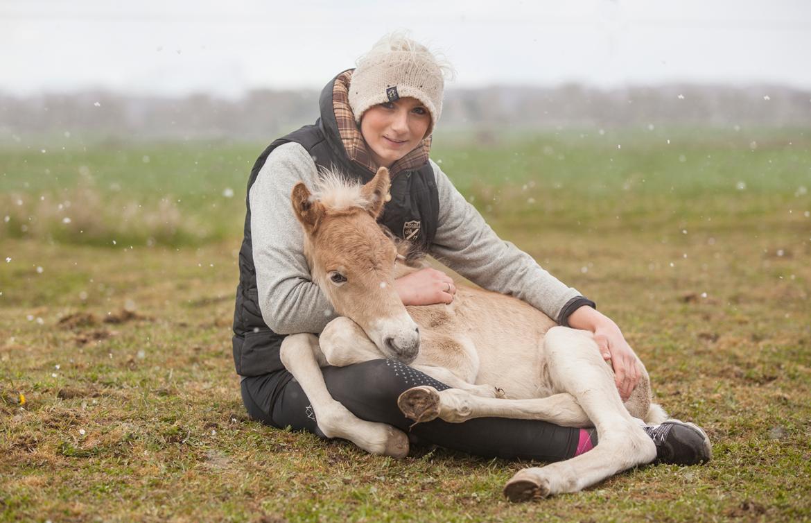 Haflinger Stroller - Freja Sif Foto  billede 15