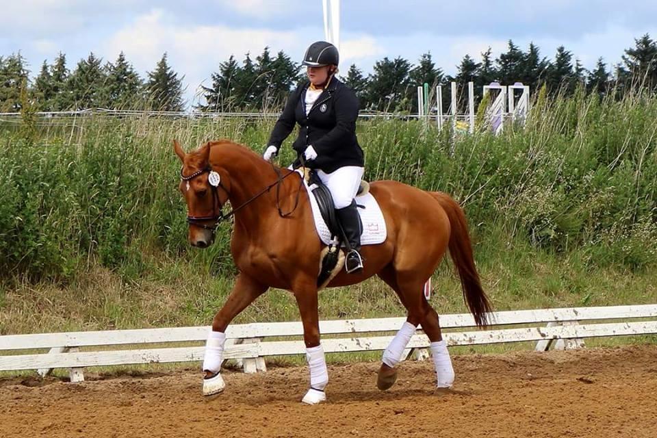 Dansk Varmblod Maxin - Stævne ØGR. billede 6