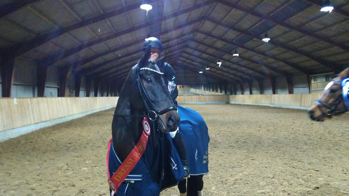 Oldenborg Gørklintgårds lilac billede 9