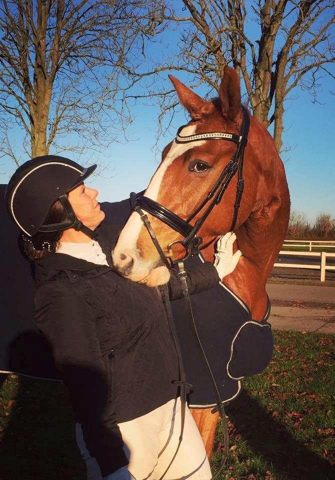 Dansk Varmblod Lester-Qvist billede 5