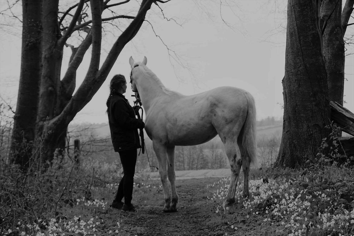 Anden særlig race Dyrekjærs Amazing Damian (solgt) - April 17 billede 15