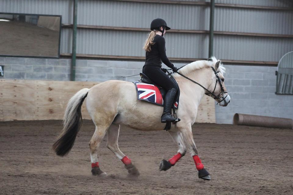 Fjordhest Sirocco - Tak for kigget :-) billede 17