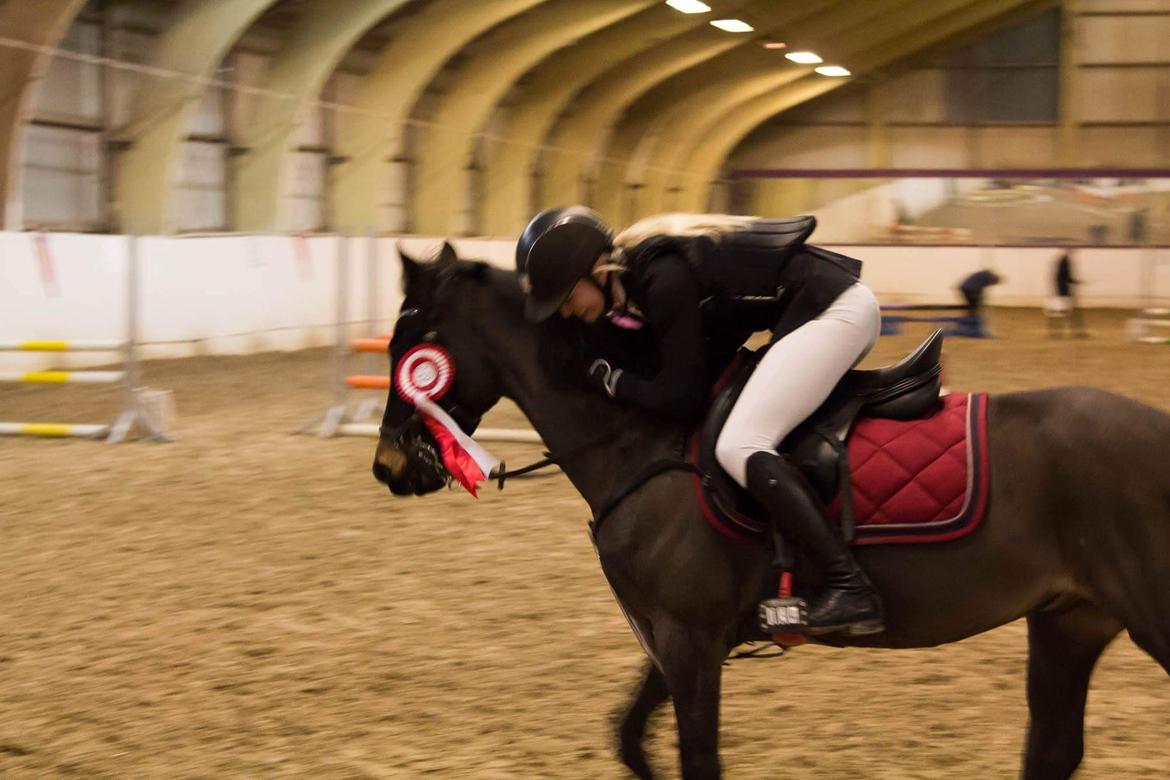 DSP Rotterdam's Dream Dancer billede 5