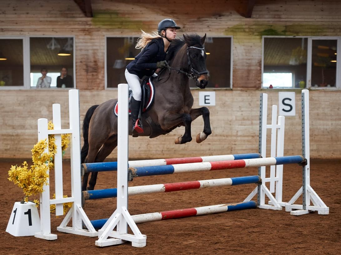 DSP Rotterdam's Dream Dancer billede 7