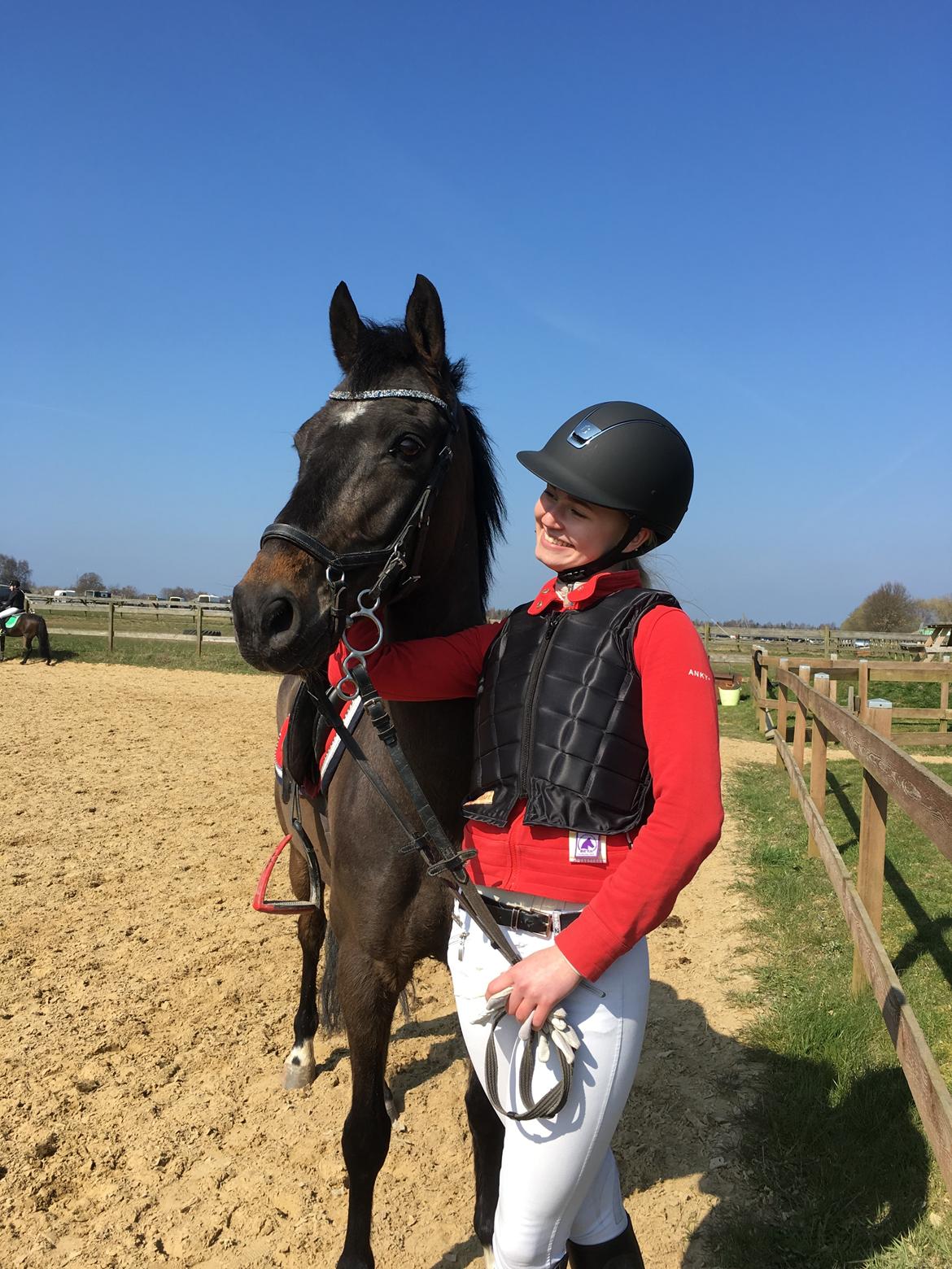 DSP Rotterdam's Dream Dancer billede 10