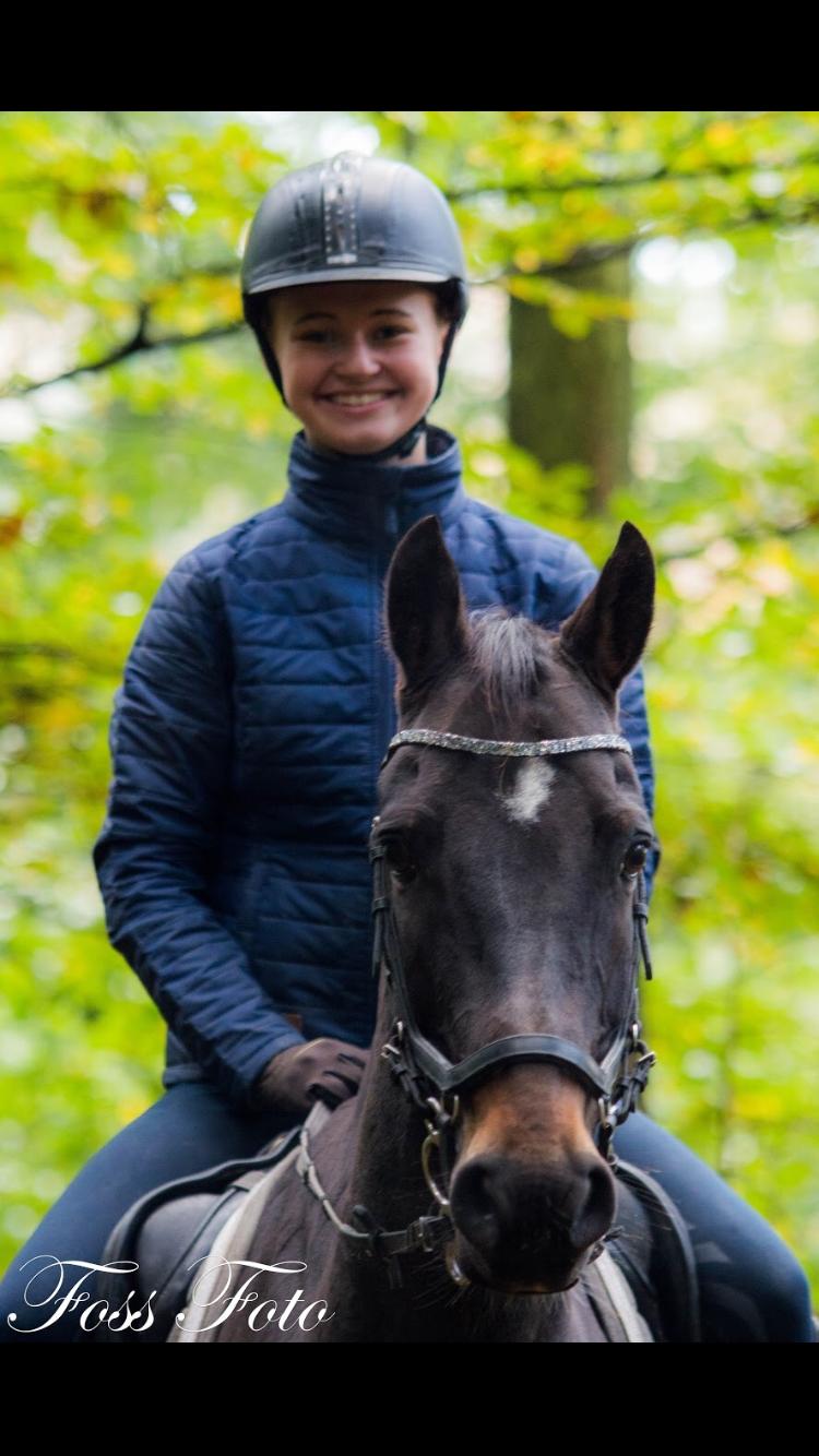 DSP Rotterdam's Dream Dancer billede 6