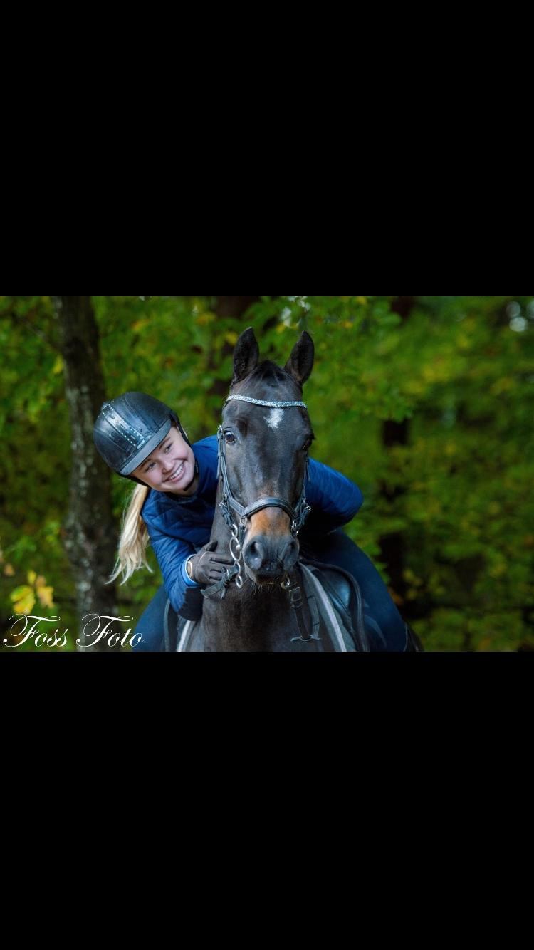 DSP Rotterdam's Dream Dancer billede 11