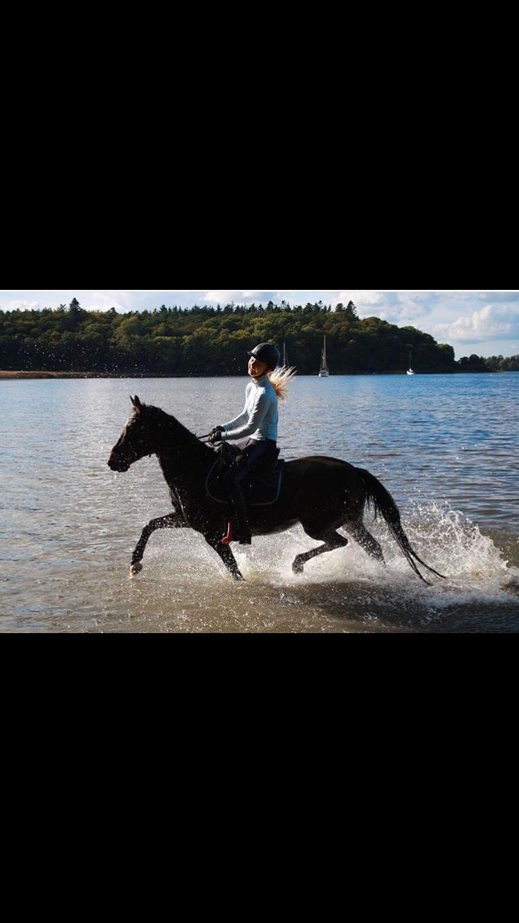 DSP Rotterdam's Dream Dancer billede 15