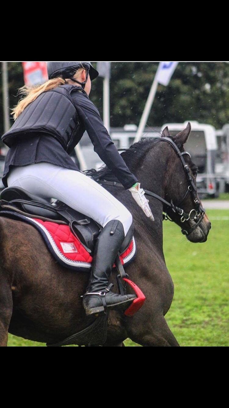 DSP Rotterdam's Dream Dancer billede 16