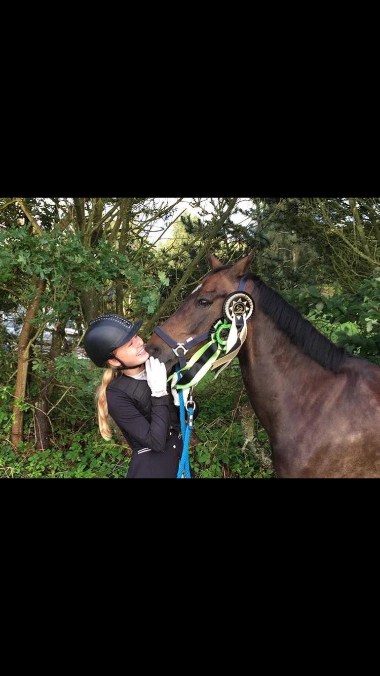 DSP Rotterdam's Dream Dancer billede 17