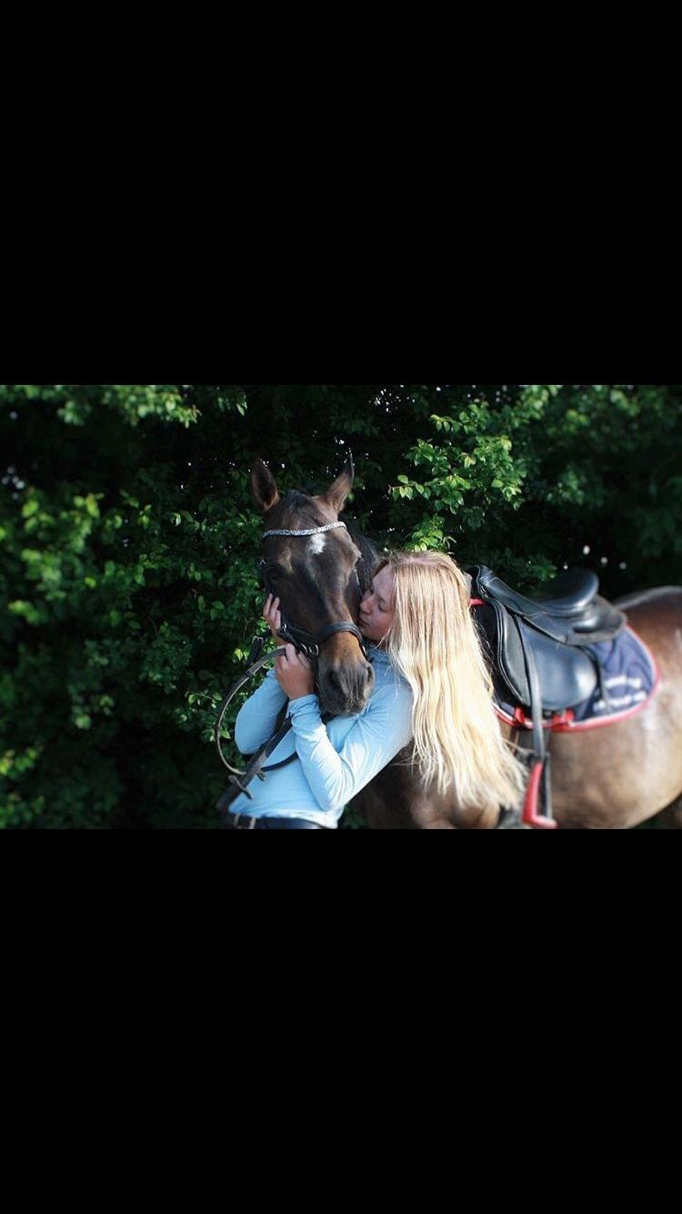 DSP Rotterdam's Dream Dancer billede 18