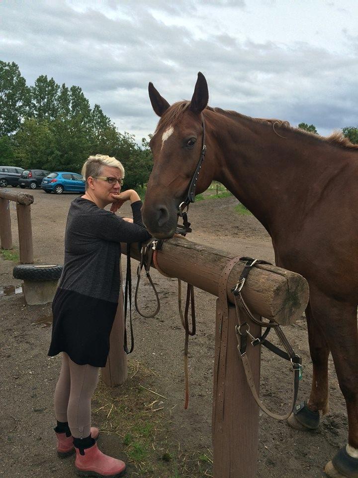 Dansk Varmblod Vortinggårds Aida *Hypse* 2001-2017 billede 2