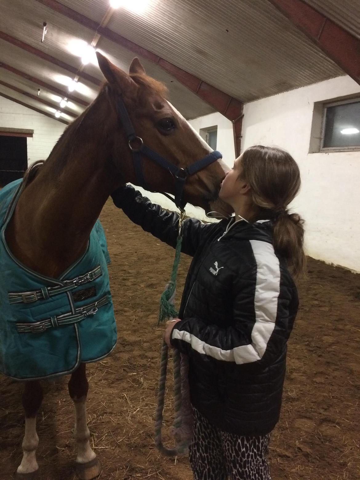 Tysk Sportspony Magic boy - Her får jeg en mys af min dejlige dreng.  billede 7