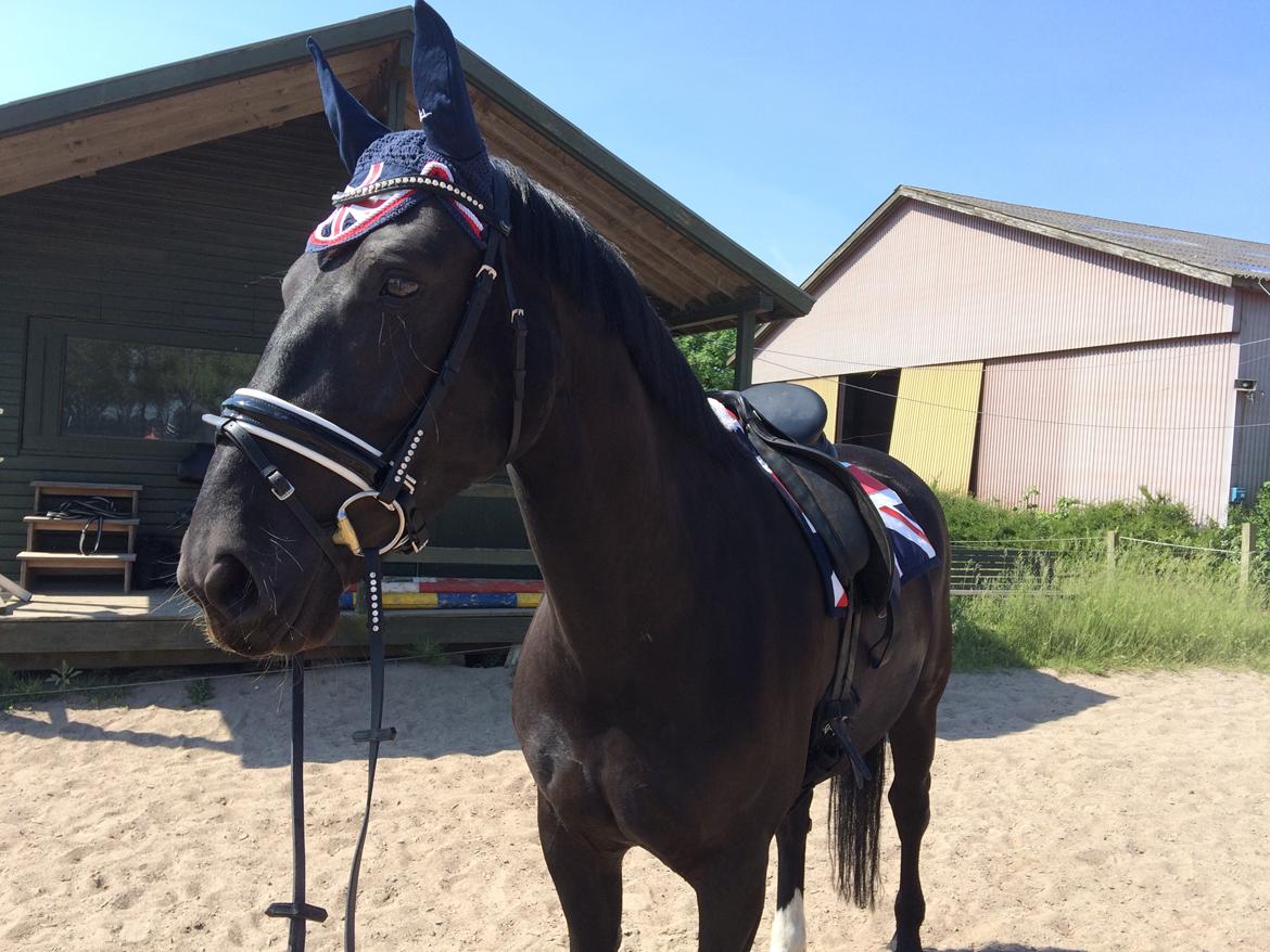 Oldenborg Maggie Tisted - Juni 2016 billede 43