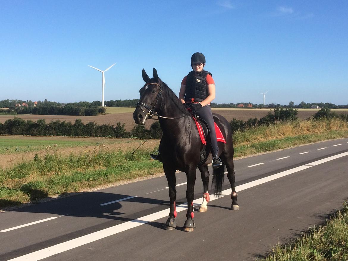 Oldenborg Maggie Tisted - April 2017 billede 25