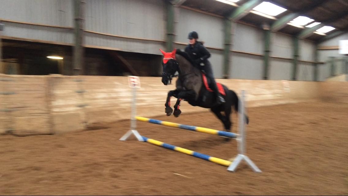 Oldenborg Maggie Tisted - April 2017 billede 24