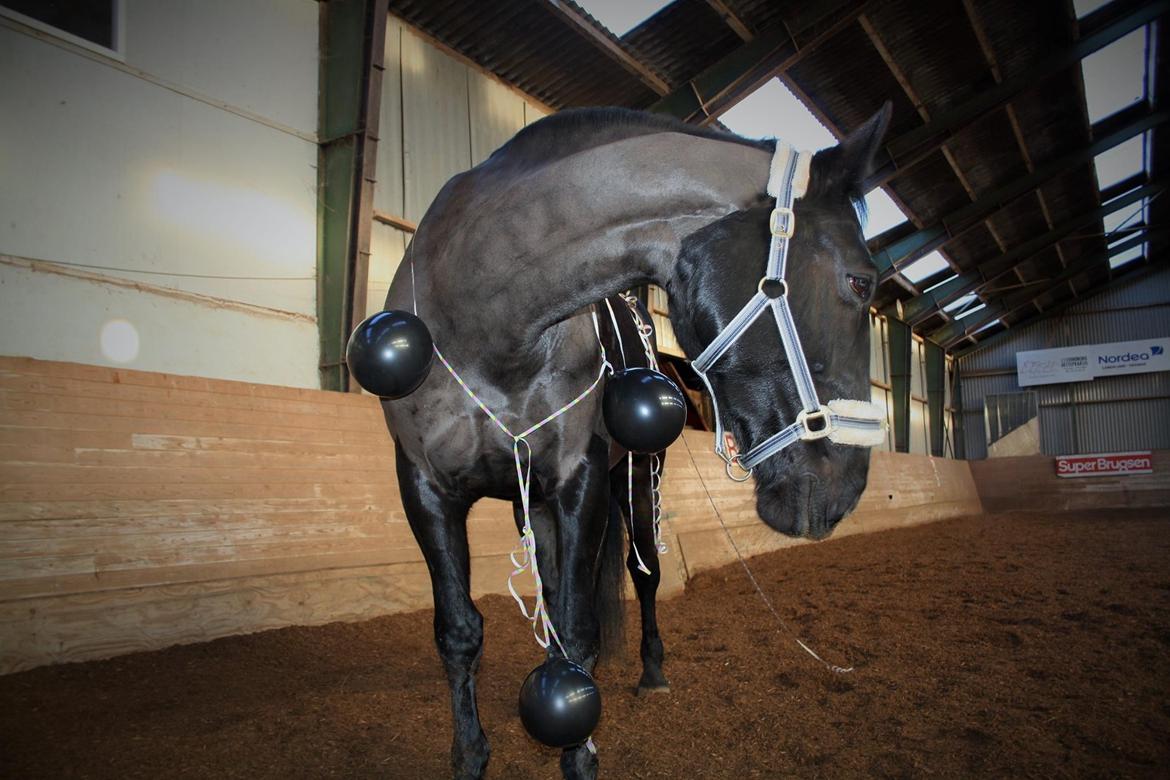 Oldenborg Maggie Tisted - Januar 2017 billede 33