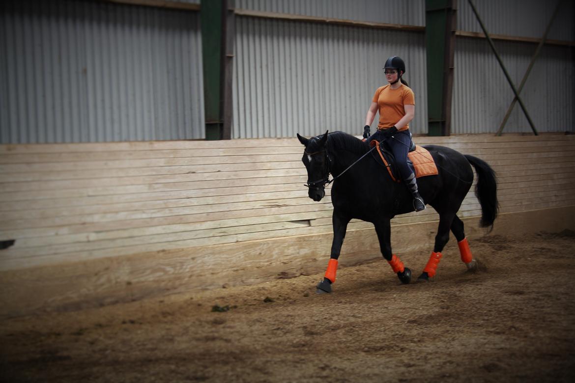 Oldenborg Maggie Tisted - Juni 2016 billede 42