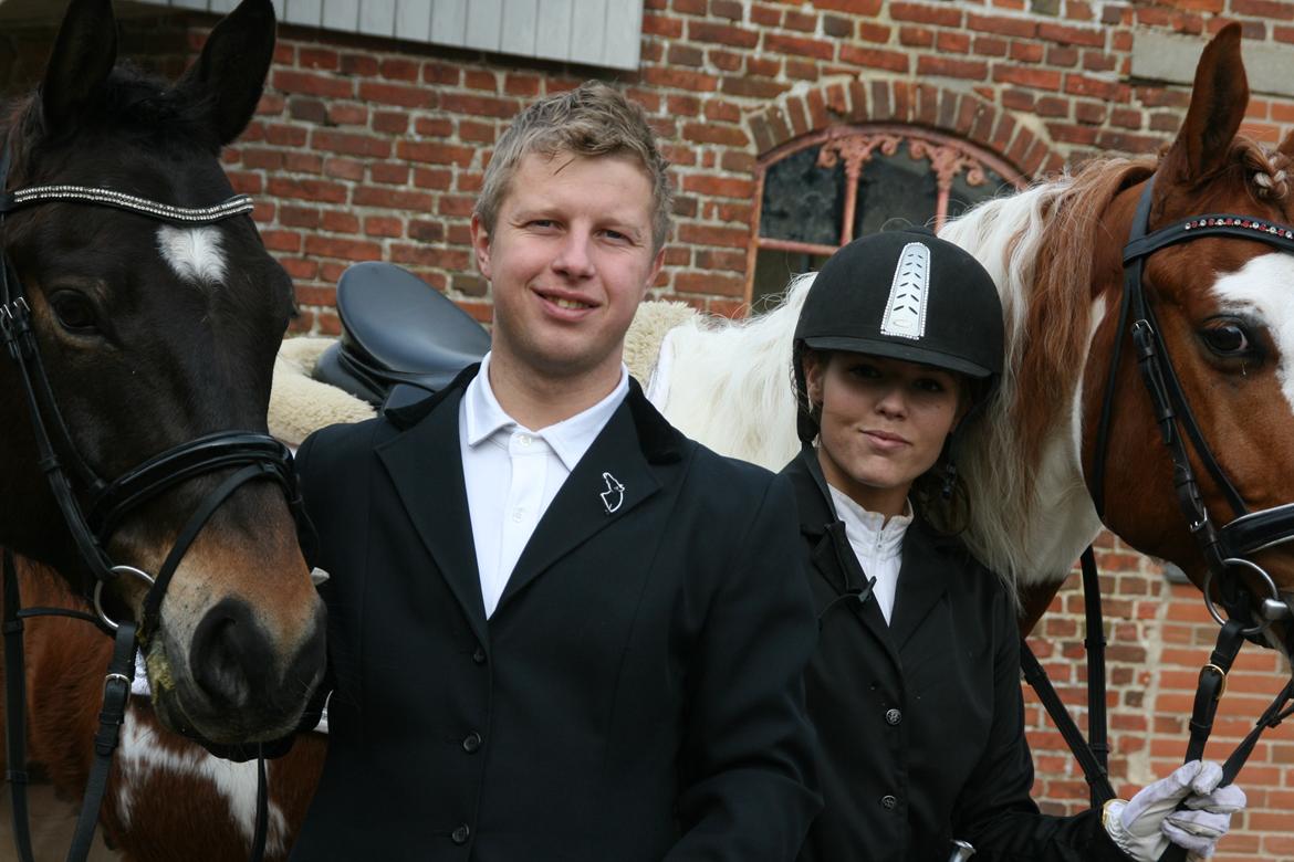 Pinto Elmegårdens Brilliant  billede 7