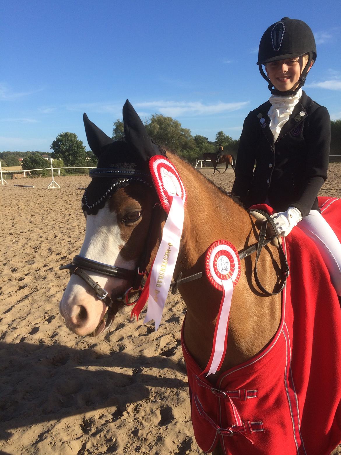 Welsh Pony (sec B) Kongsgodsgaards Avatar - Områdemester i dressur i Distrikt 14 2016 billede 18