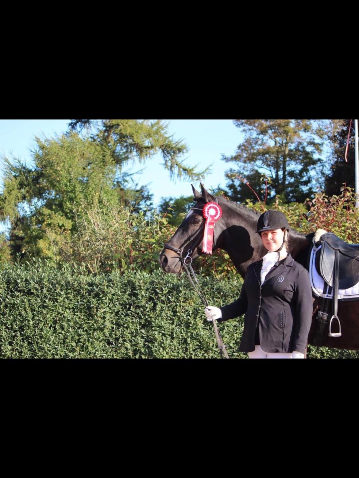 Oldenborg Another one 2 (Dundee) - vinder hesten<33 billede 18