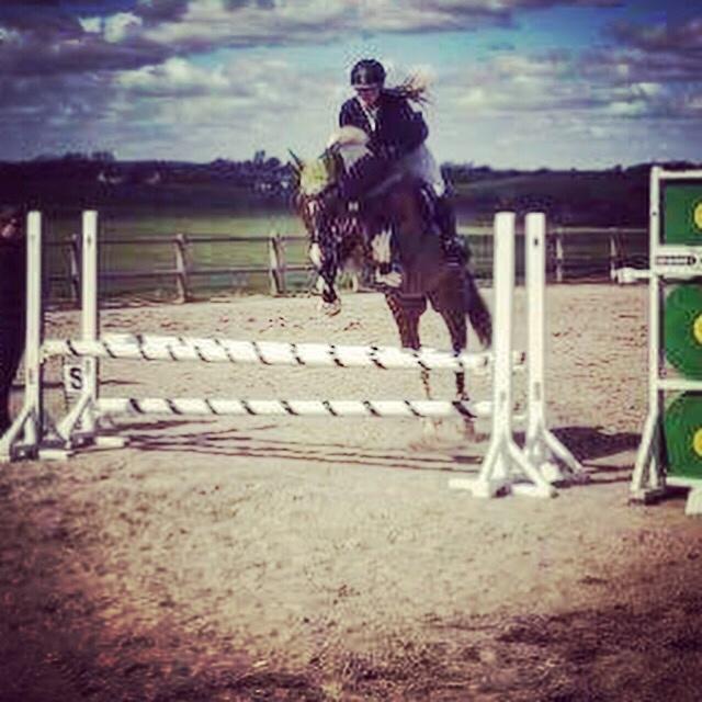 Pinto Thiamo billede 18