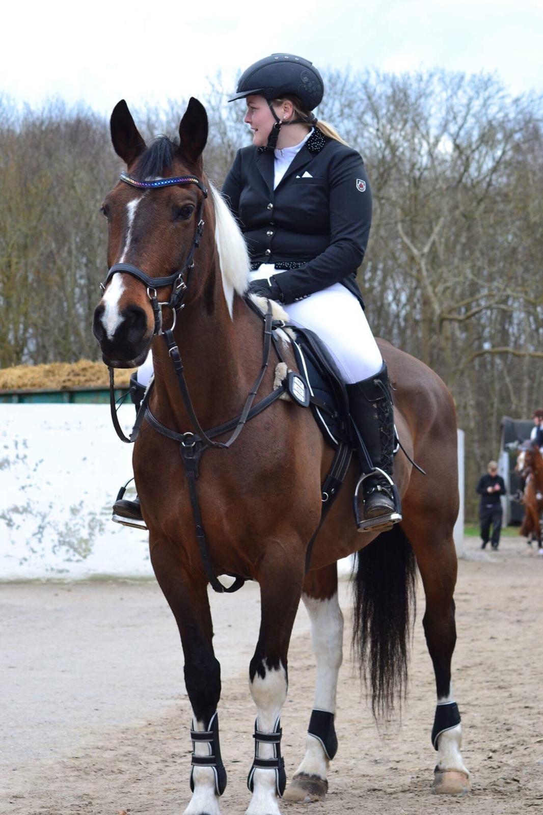 Pinto Thiamo billede 1