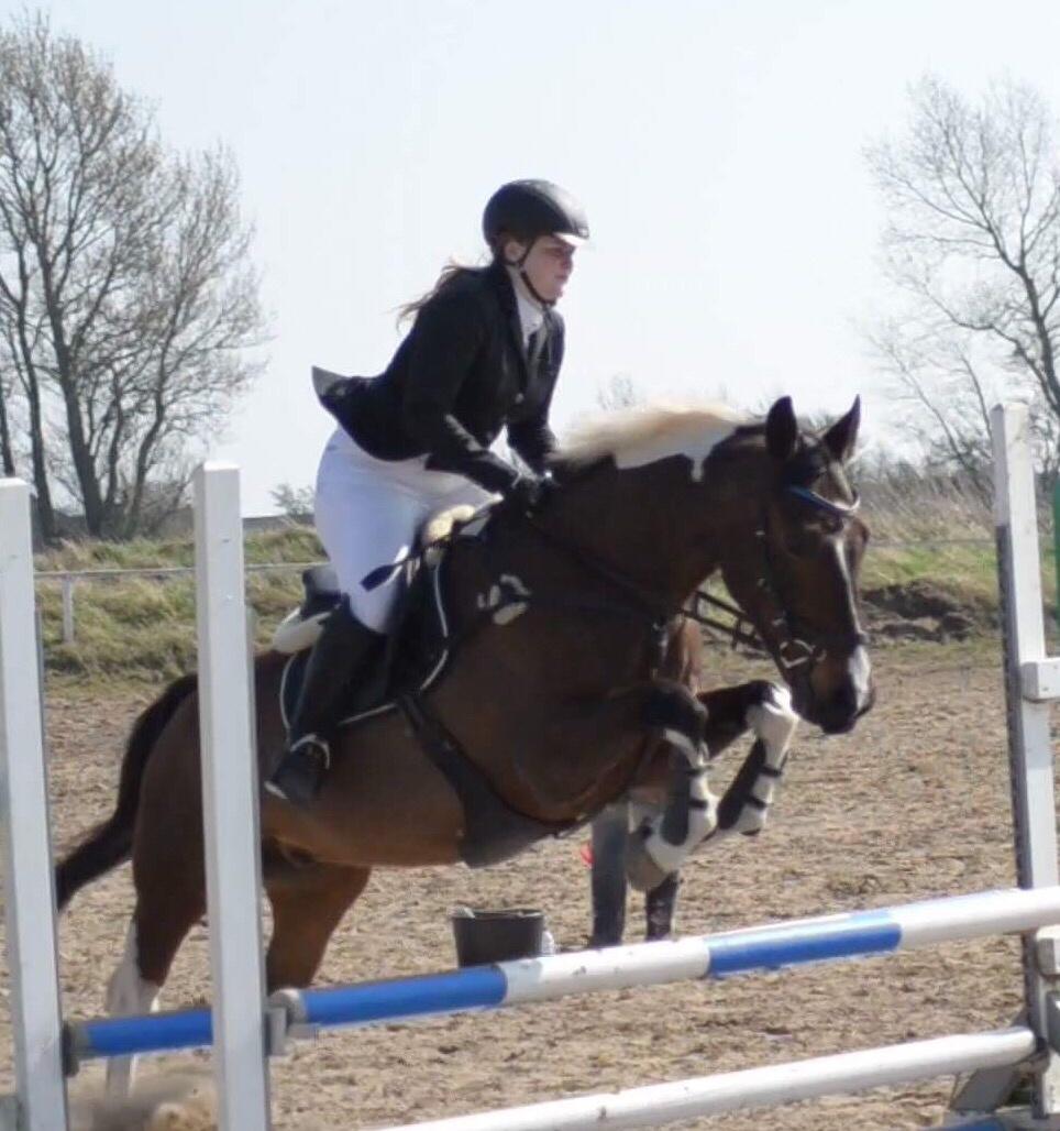 Pinto Thiamo billede 20