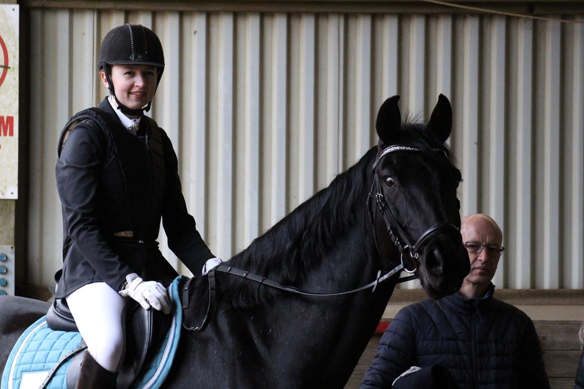 Dansk Varmblod Tranholms Santiago - 13. April 2017 - Stævne SRÅ billede 7