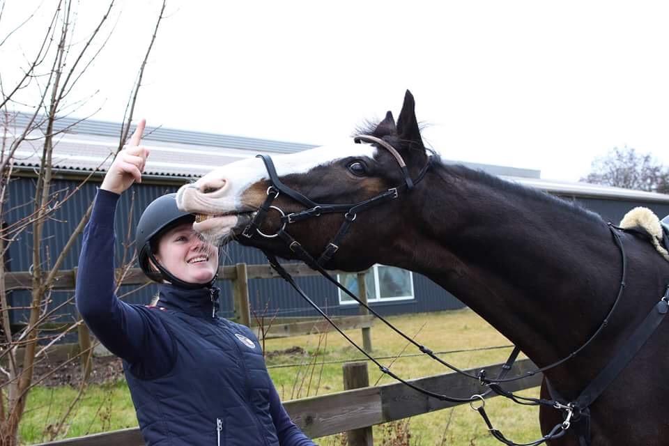 Hollandsk Varmblod Zarona R.I.P  billede 20