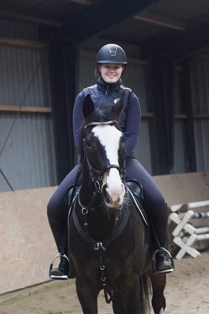 Hollandsk Varmblod Zarona R.I.P  billede 14