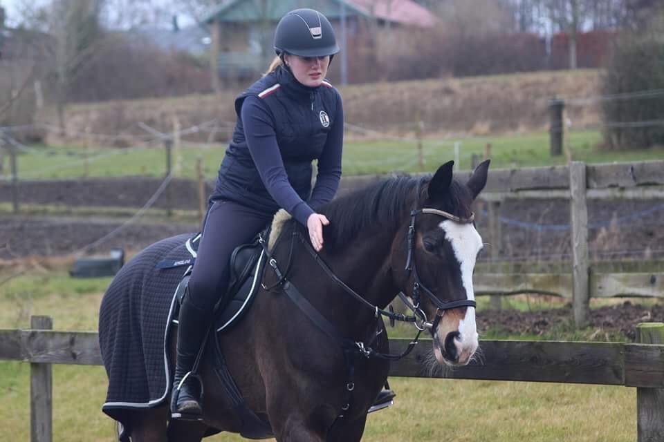 Hollandsk Varmblod Zarona R.I.P  - En af vores første ridetur efter 3 måneder billede 7