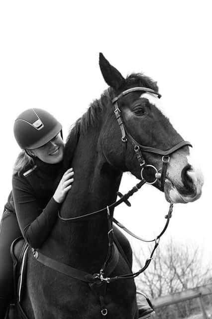 Hollandsk Varmblod Zarona R.I.P  billede 22