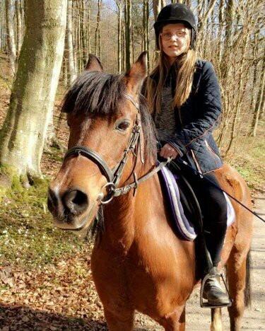 Anden særlig race Laika billede 1