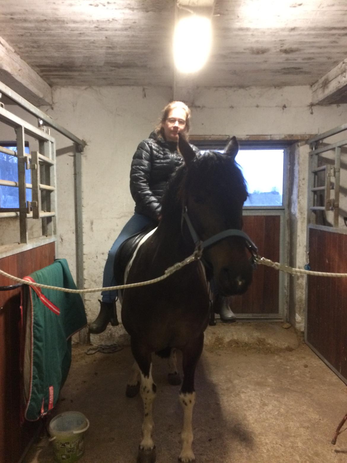 Pinto Nacoma indian - Juhuu 1. Gang på ryggen og ja fy fy uden hjelm og i stalden, men her er hun tryg billede 19