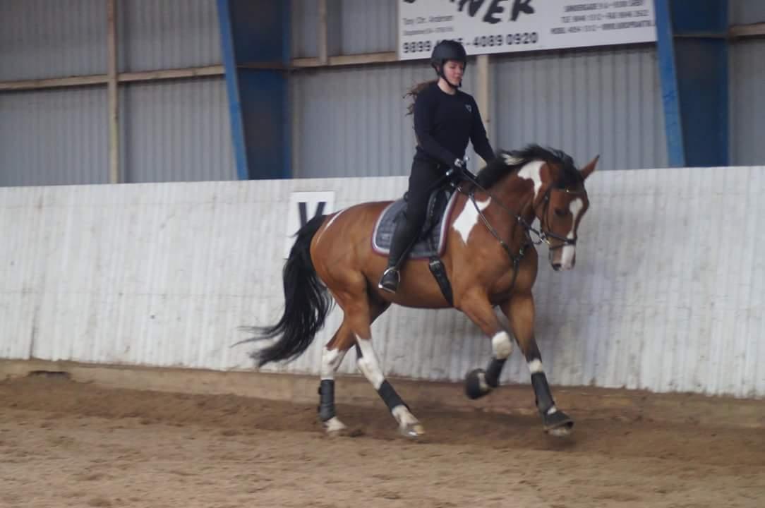 Anden særlig race Filur billede 5