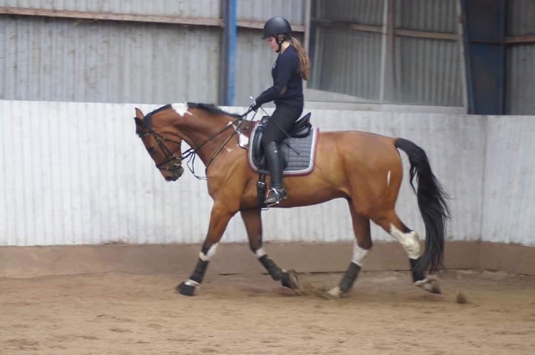 Anden særlig race Filur billede 7