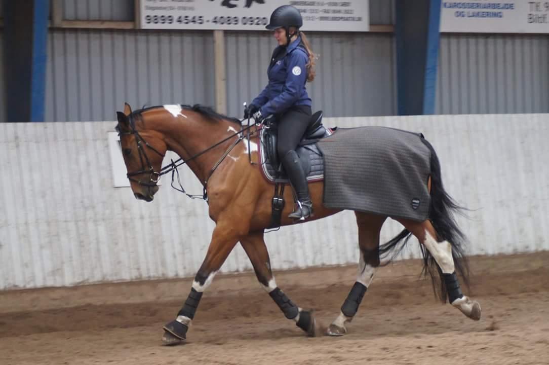 Anden særlig race Filur billede 4